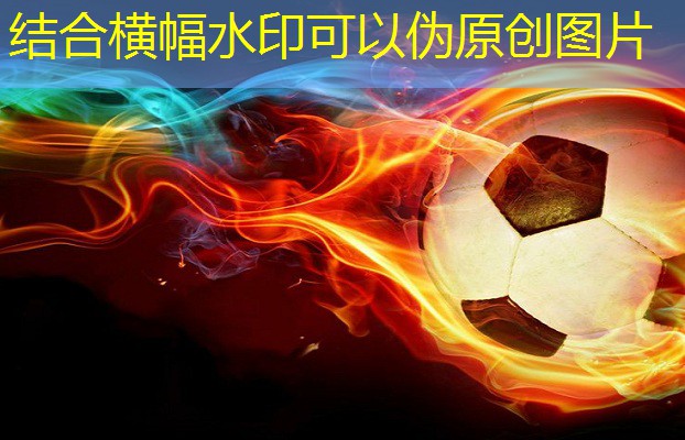 职工运动会：挑战自我，突破困境！