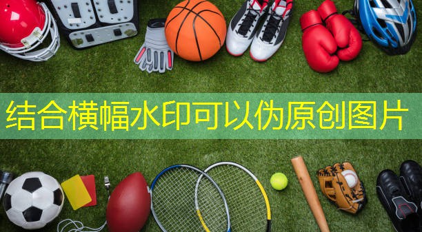 运动器材手工举重